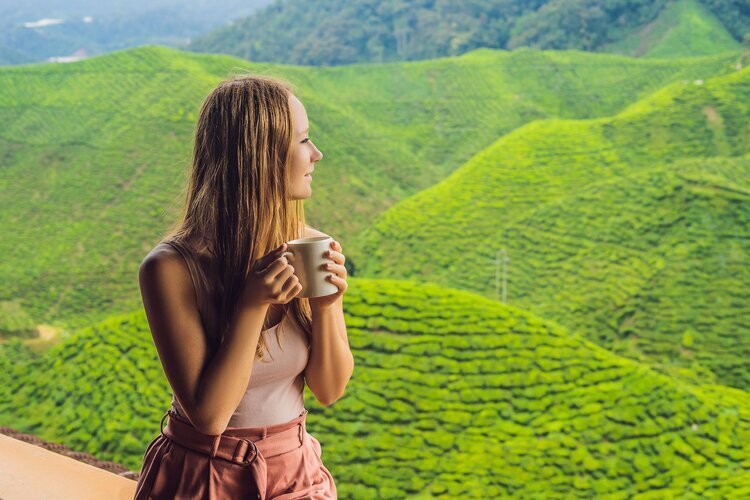 Indien beste Reisezeit