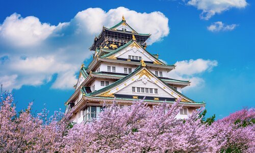 Japan Reise Kirschblüte