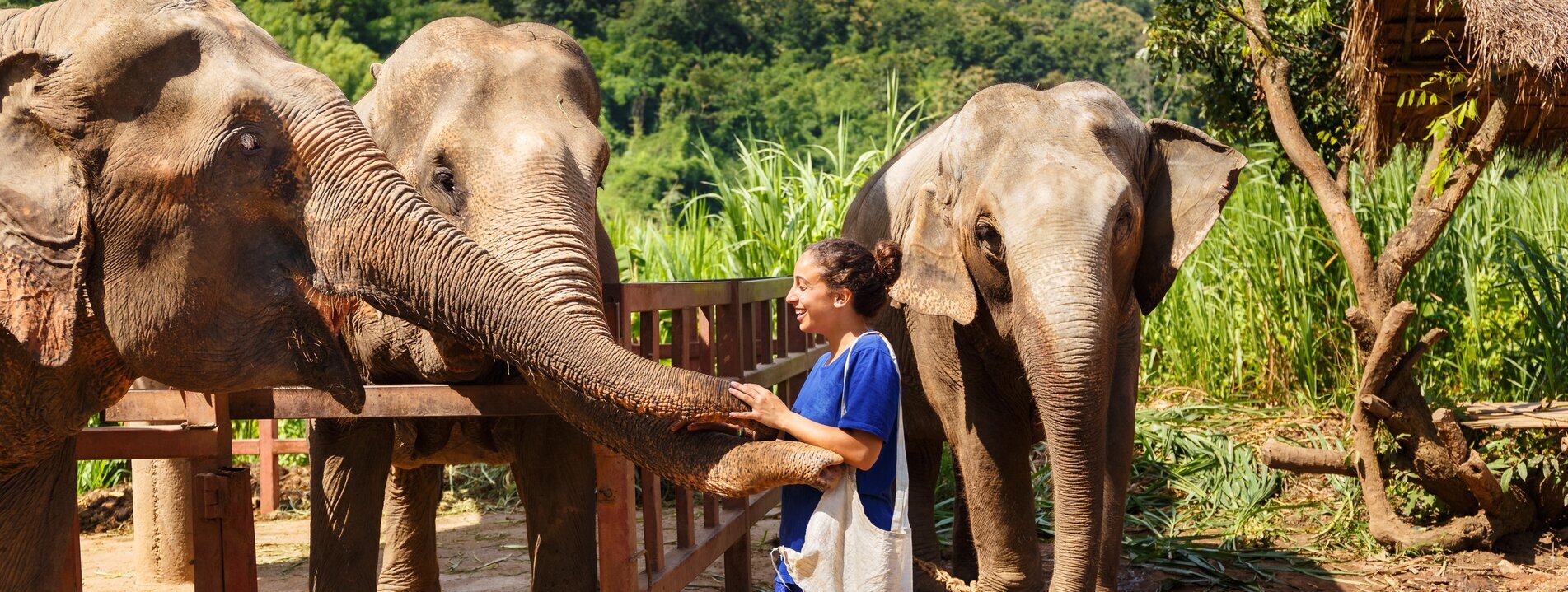 Thailan Rundreise 2 Wochen