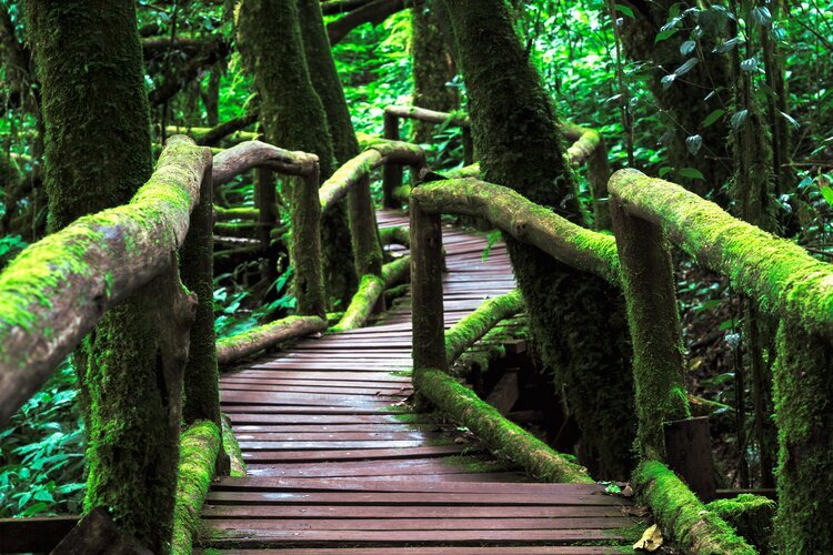 Nationalpark Doi Inthanon