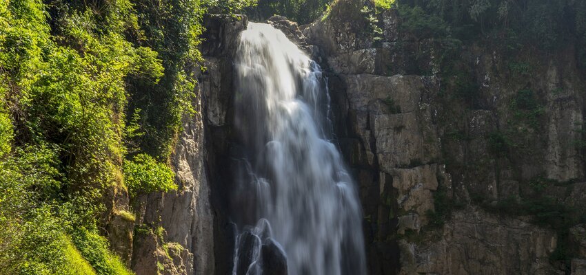 Khao Yai National Park