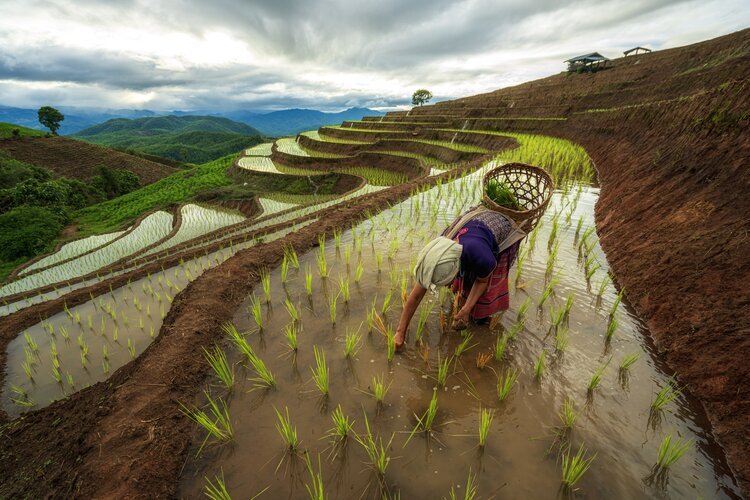 Vietnam Rundreise - Sapa