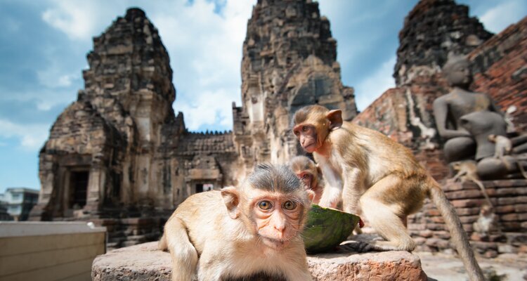 Khmer-Tempels Phra Prang Sam Yot