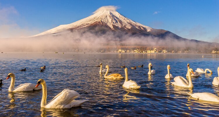 Mount Fuji
