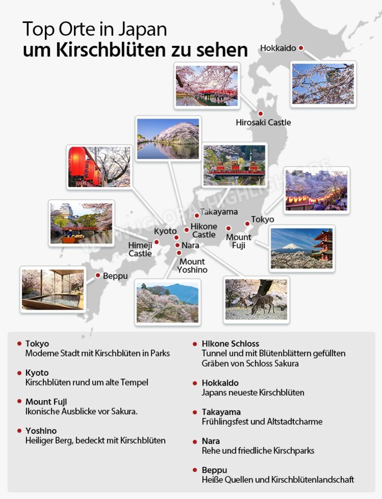 beste Reiseziele in Japan, um Kirschblüten in Japan zu sehen