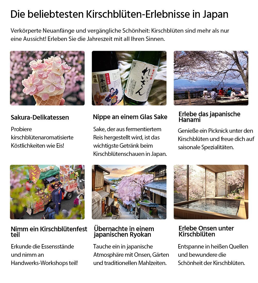 Kirschblüten Kultur Erfahrung